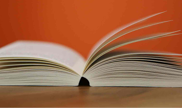 Las solapas, recomendables